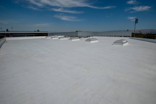 Best Roof Coating and Sealing  in Roanoke, VA